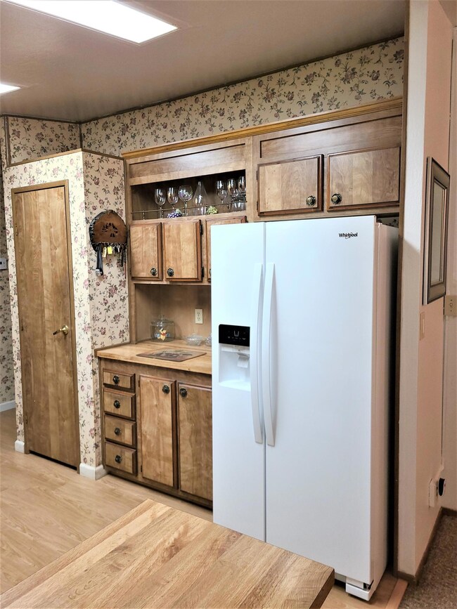 Kitchen fridge & pantry