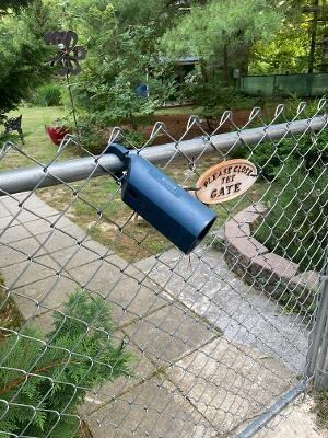 2521 Sand Knob Rd, Nimitz, WV 25978 - photo 4