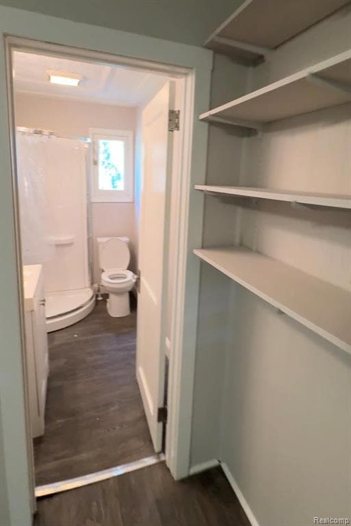 Full bathroom featuring vanity, dark wood-style flooring, and a shower with curtain