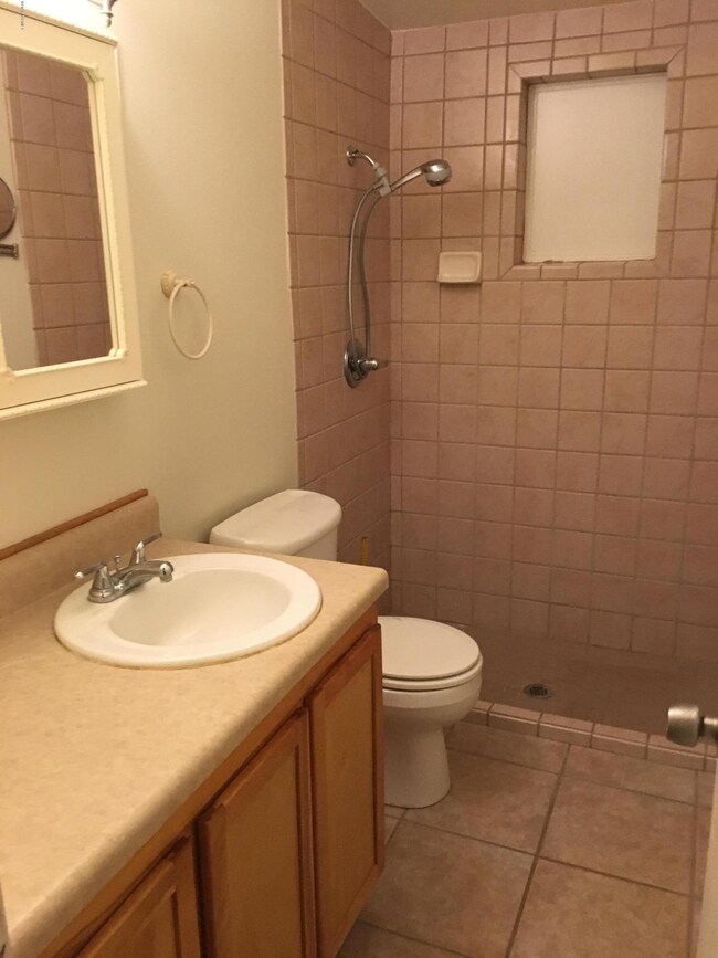 Walk In Master Shower