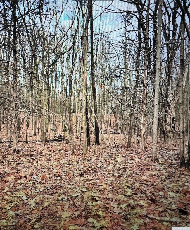 573 Willow Brook Rd, Clinton Corners, NY 12514 - photo 7