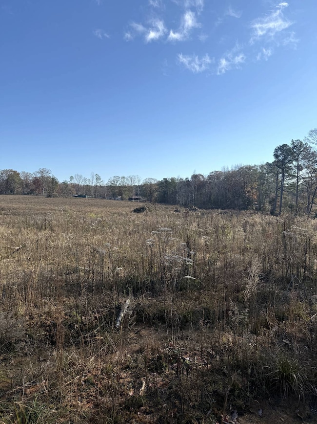 159 D B Williamson Rd # B, Louisville, MS 39339 - photo 3