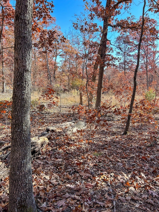 000 E Dade 4, Dadeville, MO 65635 - photo 7