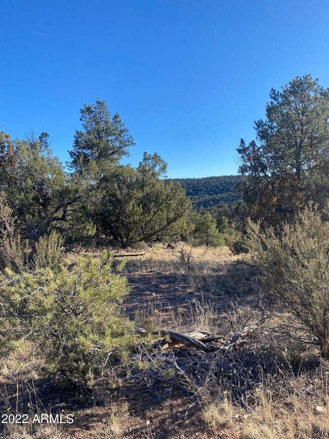 51874 N Cordero Rd unit 3382, Seligman, AZ 86337 - photo 5