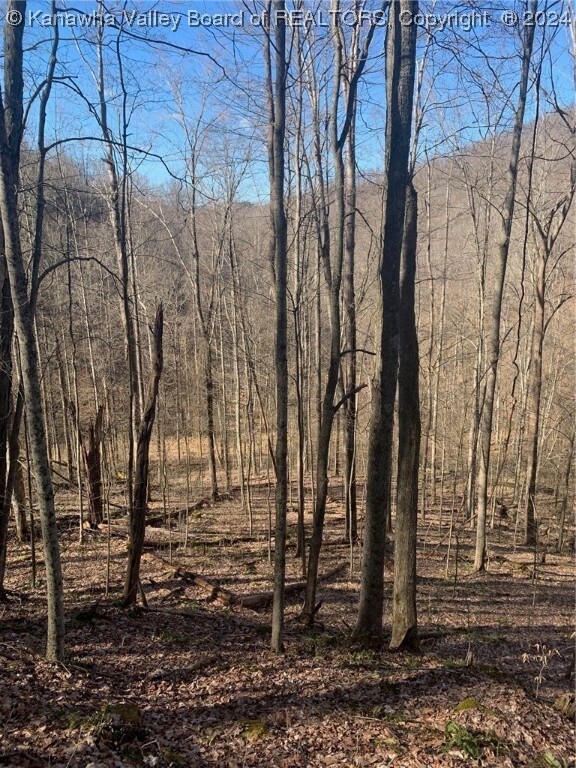 TBD Buckeye Creek Rd, Sutton, WV 26601 - photo 4