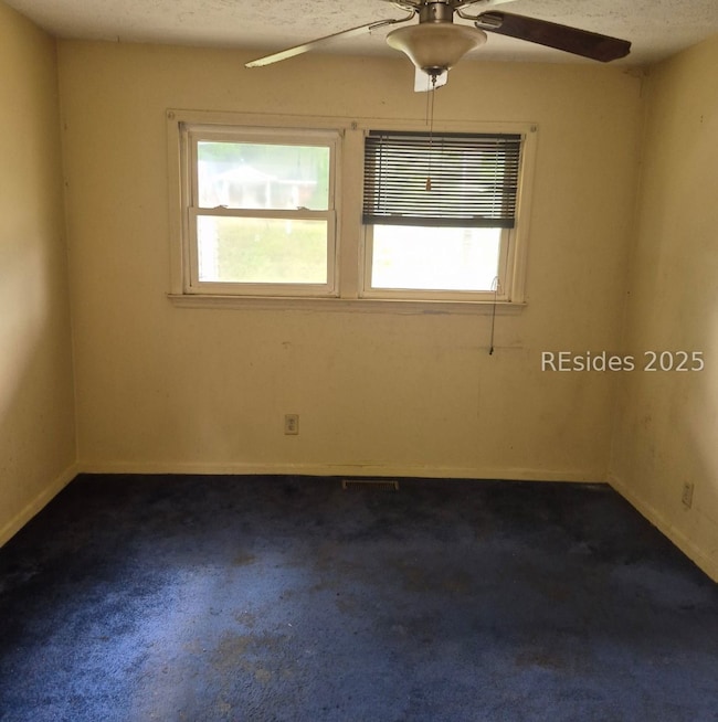 20868 S Carolina 3, Blackville, SC 29817 - photo 4