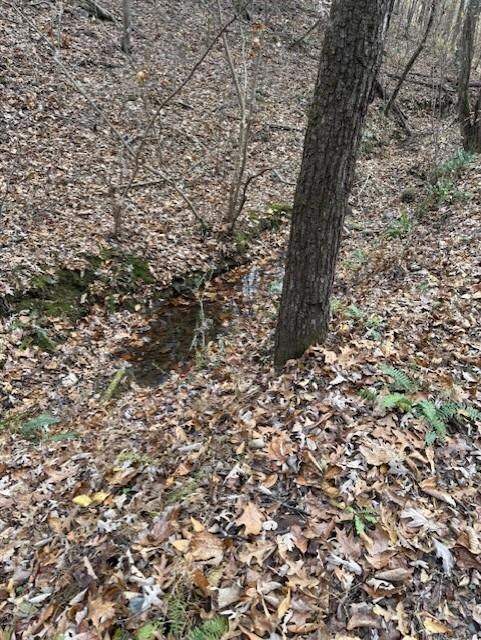 0 John Call Rd unit 7683545, Talking Rock, GA 30175 - photo 7