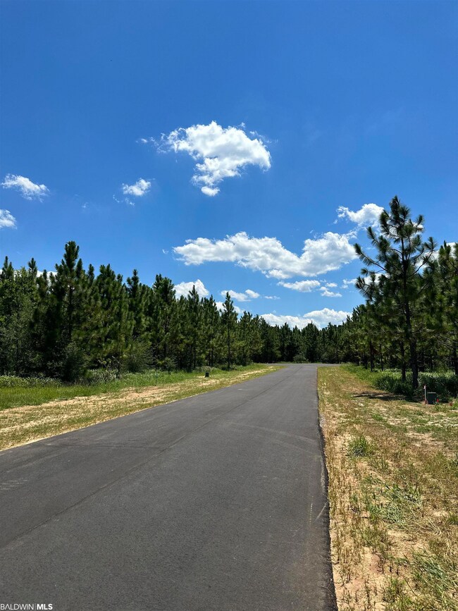 0 Hampton Ridge Ct unit Lot 50 351764, Mobile, AL 36608 - photo 4