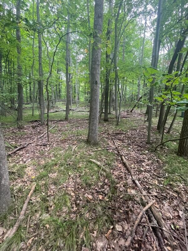 2 Lot View