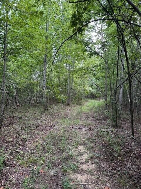 0 S Pittsburg Mountain Rd unit RTC2965466, South Pittsburg, TN 37380 - photo 6