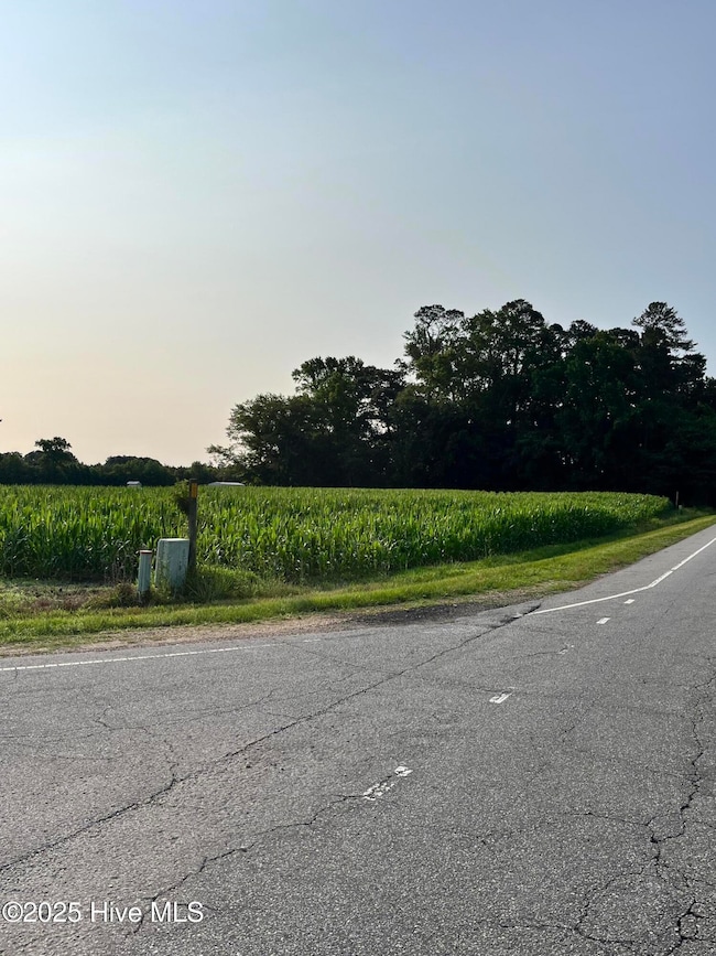 0 Hobbton Hwy unit 100510708, Newton Grove, NC 28366 - photo 7