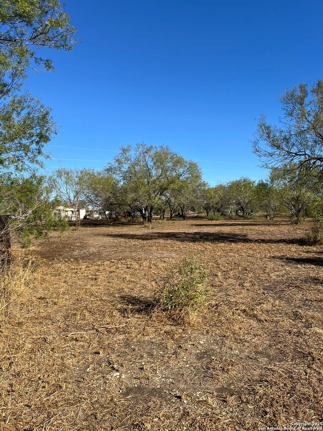 00 Mesquite and Mulberry, Jourdanton, TX 78026 - photo 4