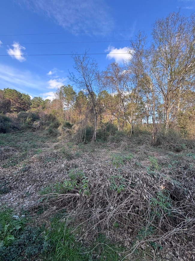 00 Jones Rd, Foxworth, MS 39483 - photo 2