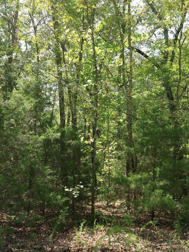 210 Bo Peep Cir, Horseshoe Bend, AR 72512 - photo 5