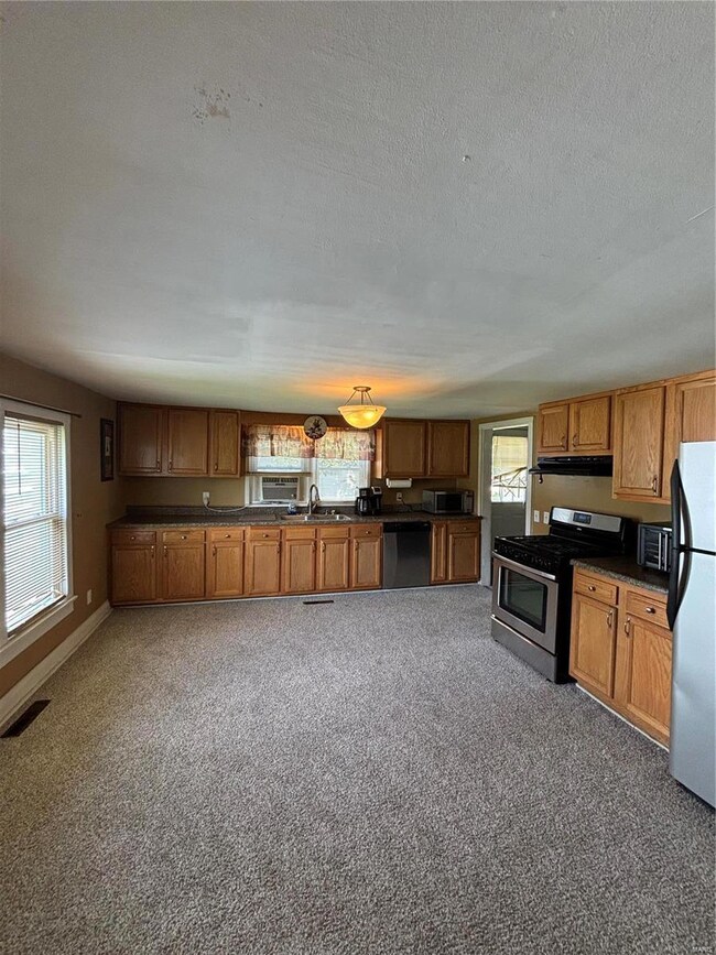 302 N Hickory St, Bertrand, MO 63823 - photo 7