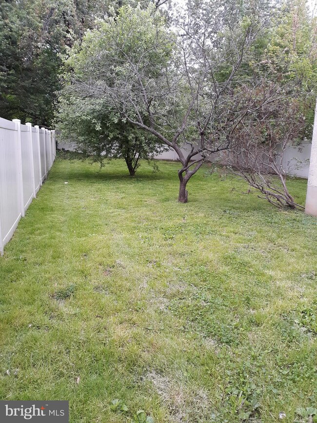 158 N Union Ave, Lansdowne, PA 19050 - photo 5