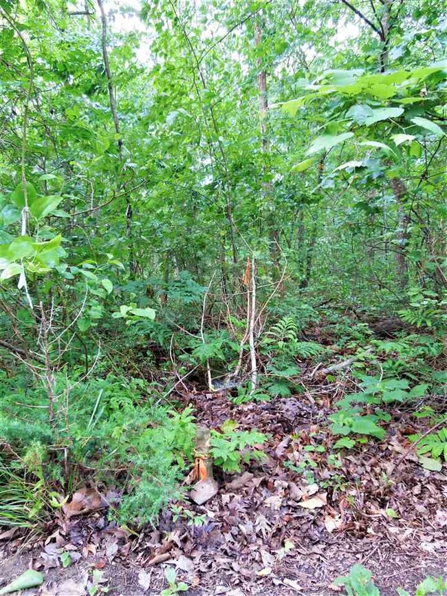 Lot 43 Whippoorwill Ln, 4, Newport, VA 22835 - photo 7