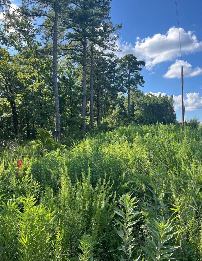 Tract 4 SE 1083 Road Ave, Red Oak, OK 74563 - photo 7