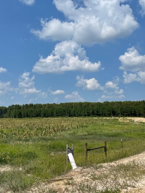 TBD Plat E1171-8, Summerton, SC 29148 - photo 6