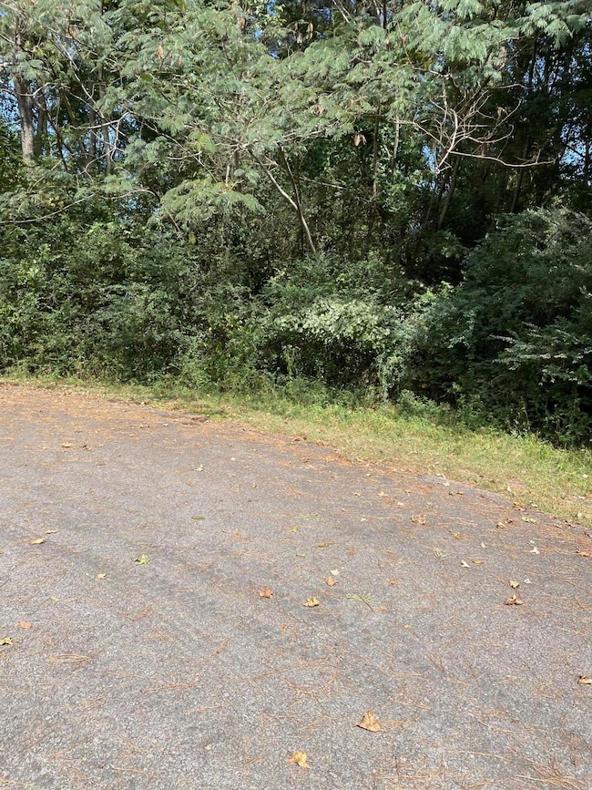 IMG_20250909_115628_(1)