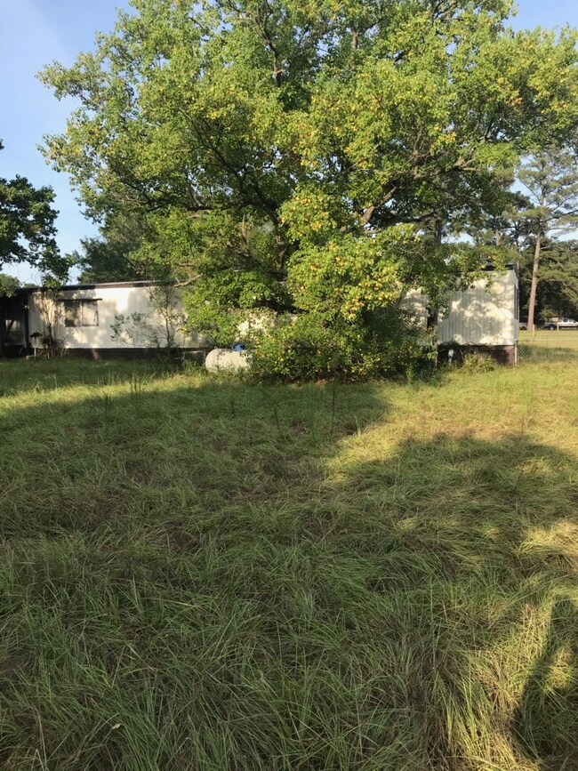 30315 Greenwood St, Magnolia, TX 77355 - photo 5