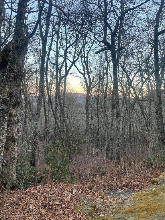 00 Zeb Buchanan Rd, Cullowhee, NC 28723 - photo 6