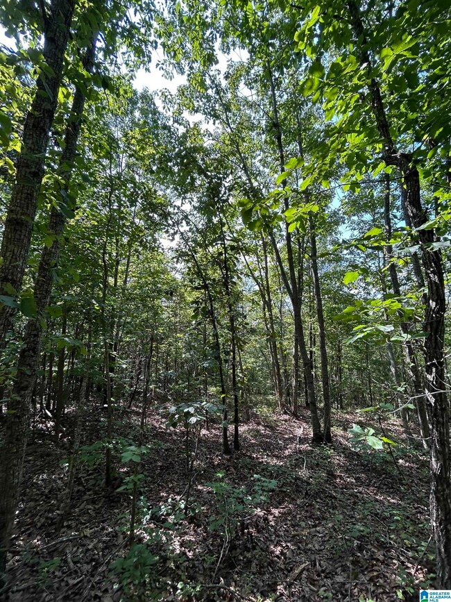 0 County Road 329 unit 9 21364080, Wedowee, AL 36278 - photo 5