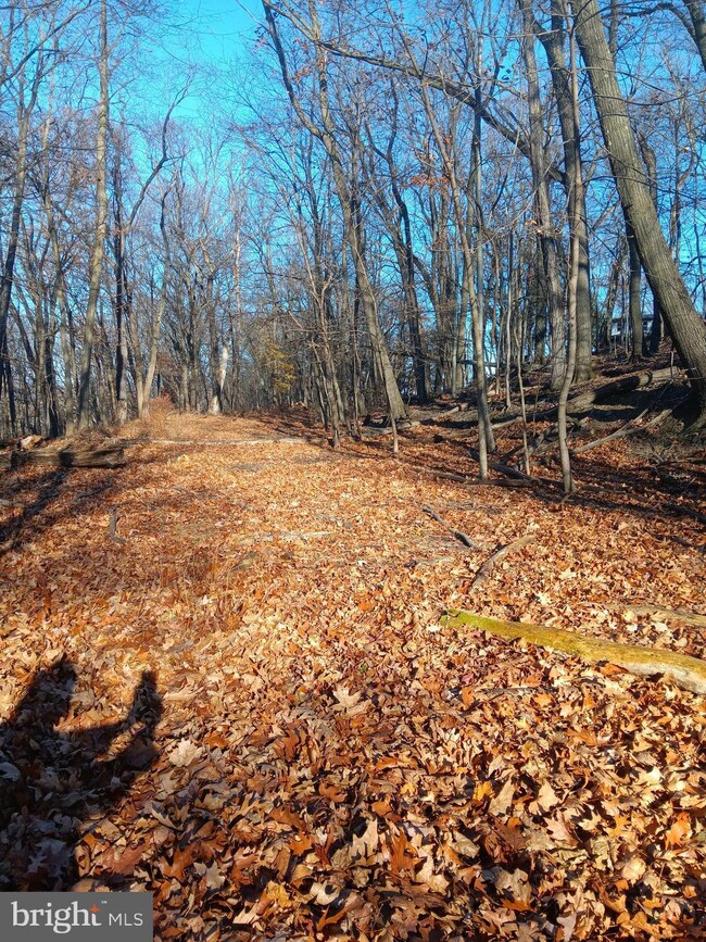 0 Gray Ave unit MDAL2013506, Cumberland, MD 21502 - photo 2