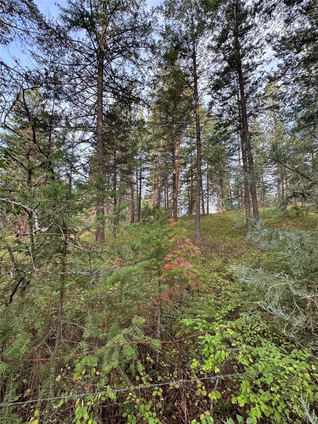Nhn Rocky Point Rd, Polson, MT 59860 - photo 6