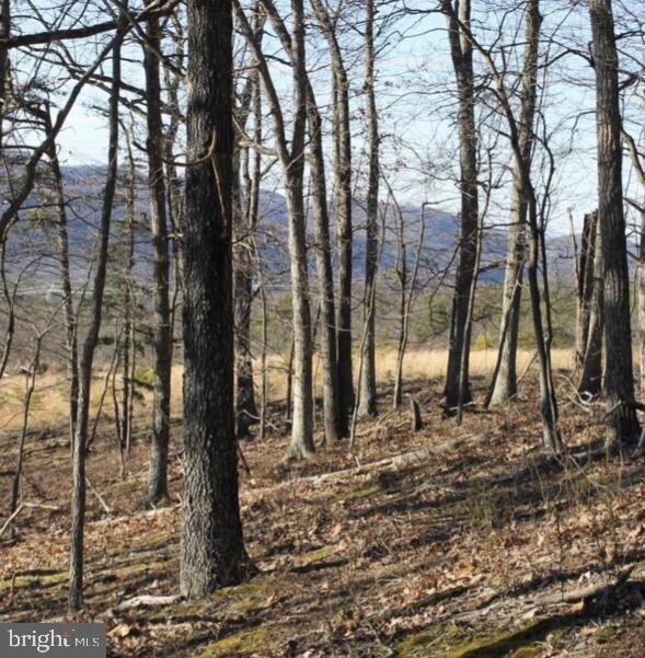 Lot 284 Ridge View Rd, Old Fields, WV 26836 - photo 2