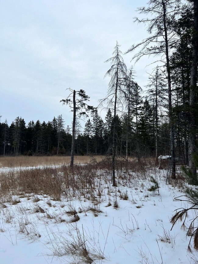 TBD Cattle Dr, Park Rapids, MN 56470 - photo 7