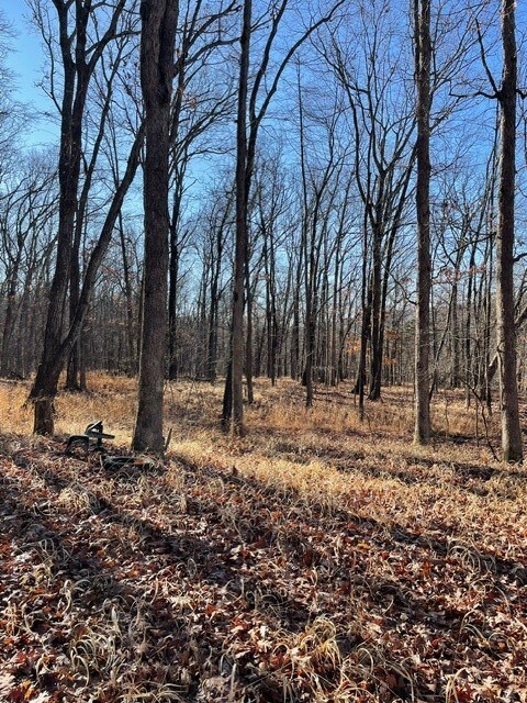 0 Tbd unit 1263583, Crosses, AR 72727 - photo 4