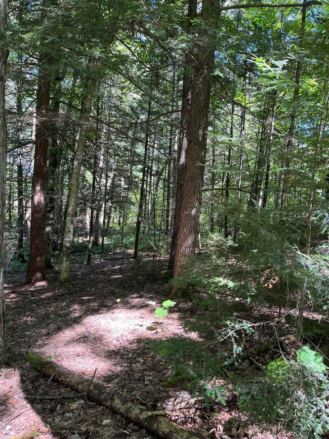 00 Berry Patch Ln, Ludlow, VT 05149 - photo 3