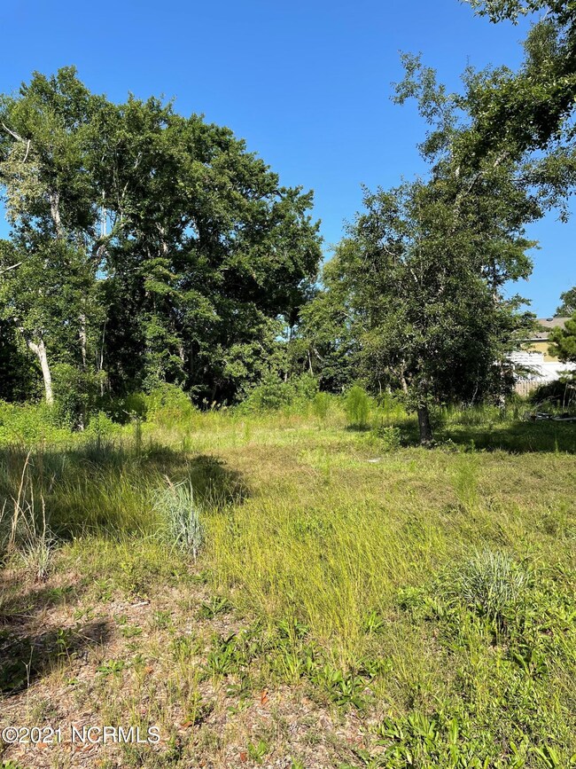 207 Oak Outlook 1