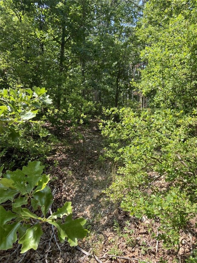 0 Carsaig Cir unit 1189228, Bella Vista, AR 72715 - photo 3