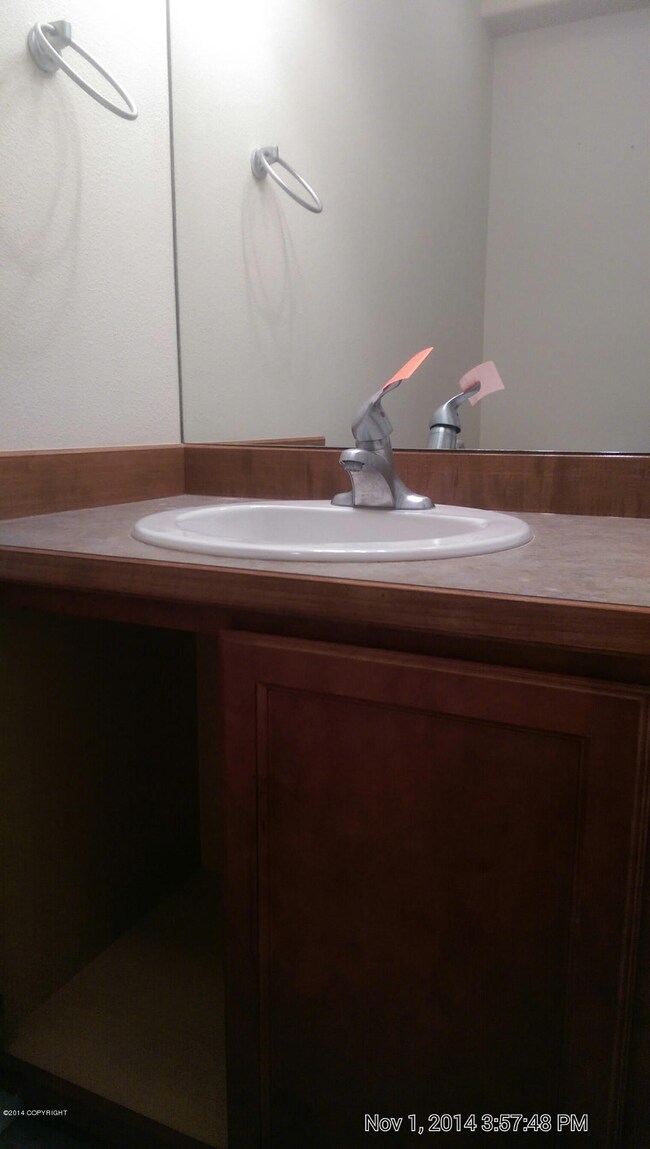 Bathroom Downstairs (2)