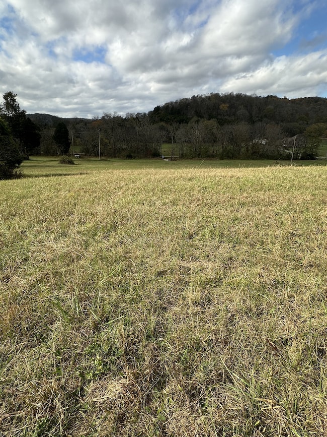 772 Rock Bridge Rd, Bethpage, TN 37022 - photo 3