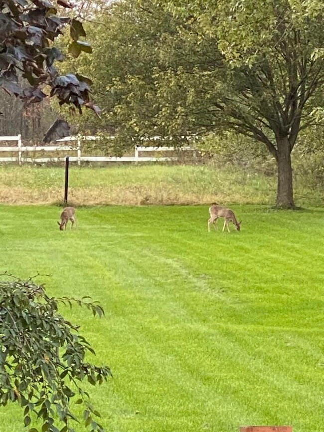 12018 S Cline Ave, Crown Point, IN 46307 - photo 5