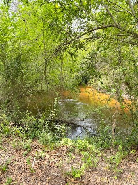 2150 Brown Rd, Hephzibah, GA 30815 - photo 5