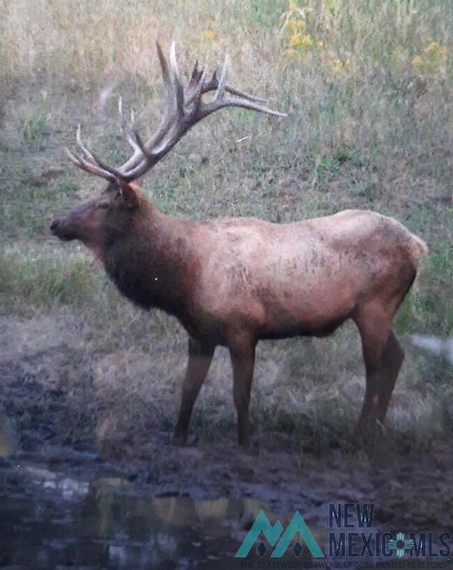 000 Ice Caves Rd, Grants, NM 87020 - photo 6