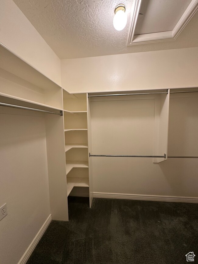 Walk in closet featuring dark carpet