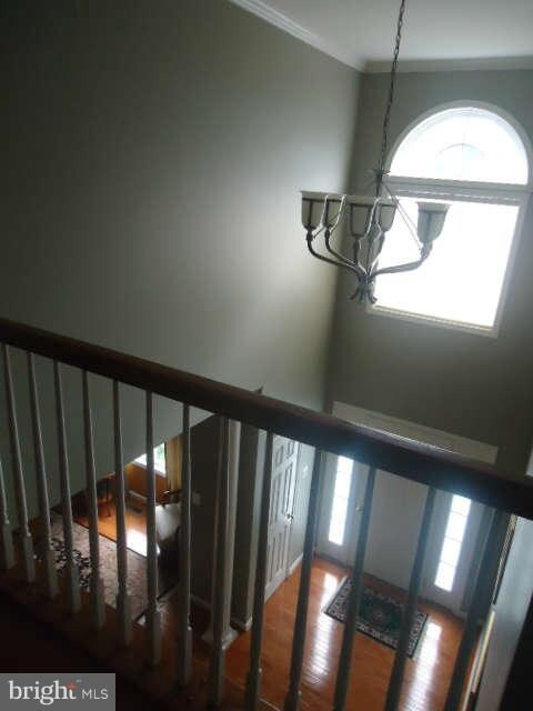 28 Persevere Dr, Stafford, VA 22554 - photo 3