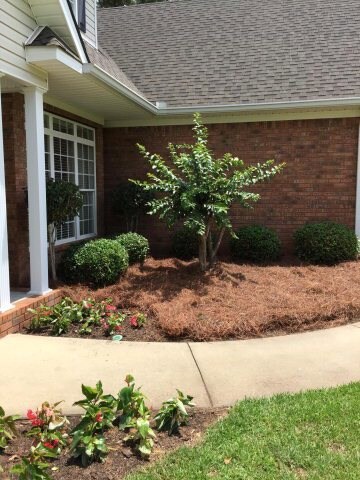 170 Hidden Lakes Dr, Gray, GA 31032 - photo 3