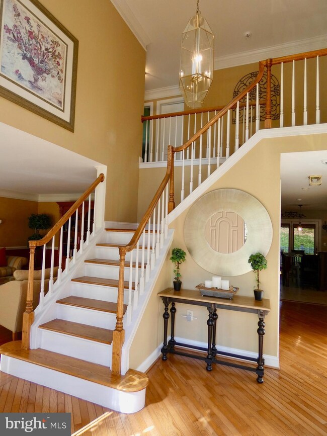 227 Cullen Way, Newark, DE 19711 - photo 4