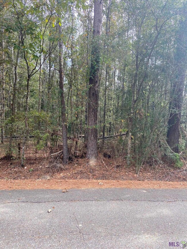 0 Lewis Rd unit 2022016915, Maurepas, LA 70449 - photo 3