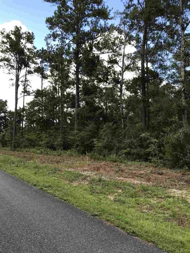 xx Frank Jones Rd unit III, Crawfordville, FL 32327 - photo 3