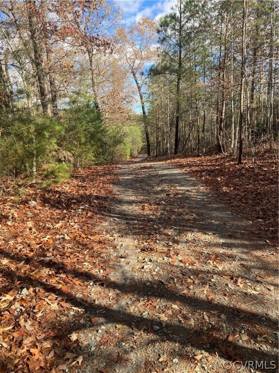 0 Dry Bridge Rd, Caroline, VA 22546 - photo 5