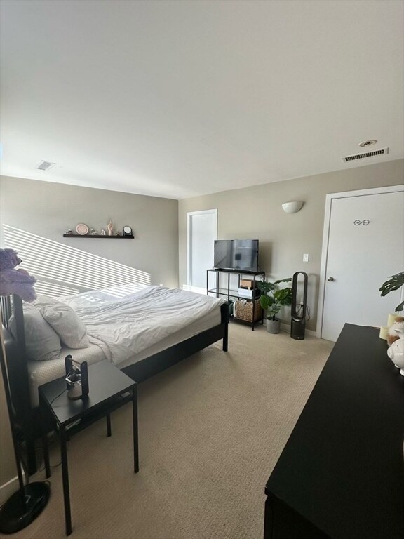 2 Chestnut St unit PH51, Cambridge, MA 02139 - photo 7