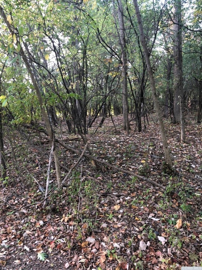 75 - RR Market Ln, Coxsackie, NY 12051 - photo 5