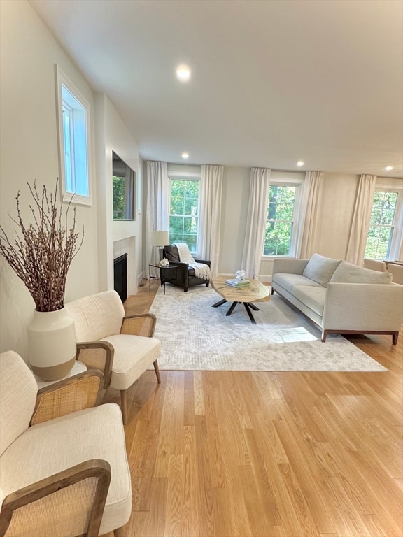 5 Mill Park Place, Westford, MA 01886 - photo 3